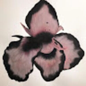 Meet your Posher, Diellza